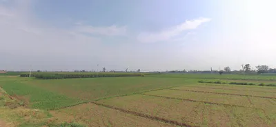 Dhanaura, Uttar Pradesh 244231, India preview 2