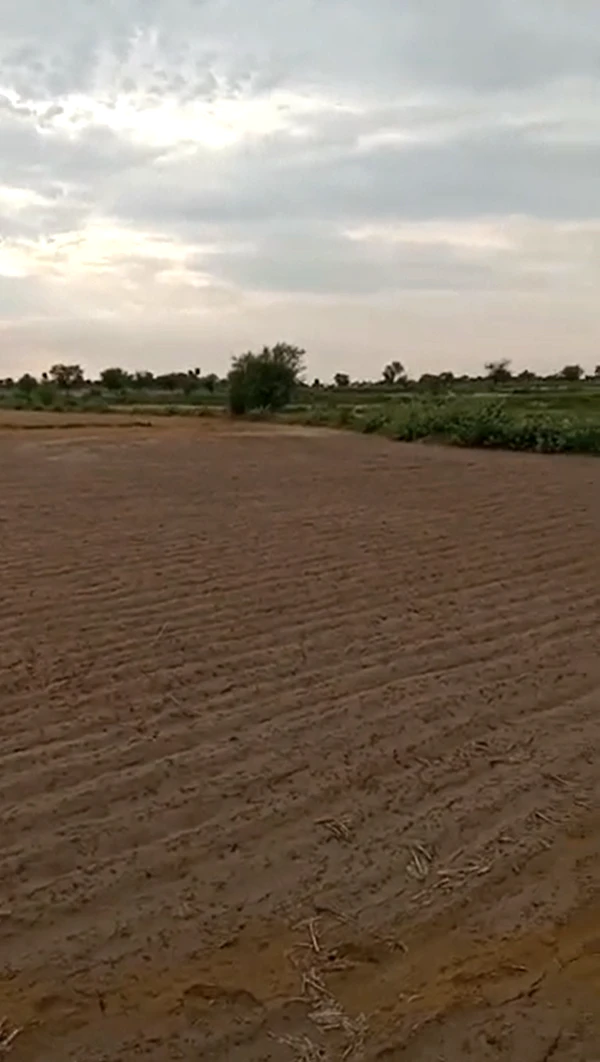 HVW9+2HR, Jaipur, Sewapura, Rajasthan, India