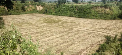 Mahadevpur, Bihar, India preview 3