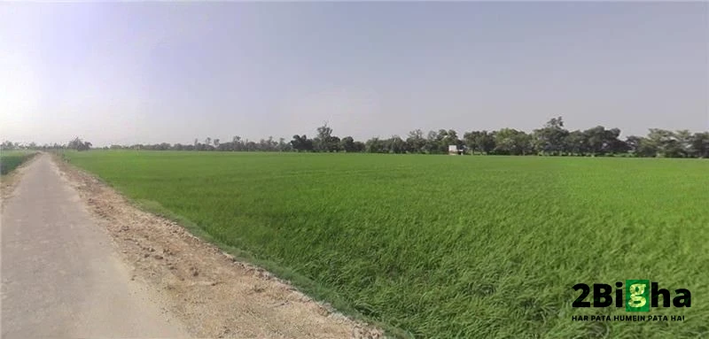 Samain, Haryana, India