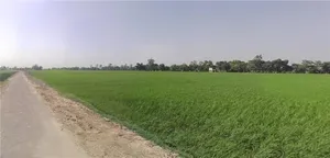 Samain, Haryana, India preview 3