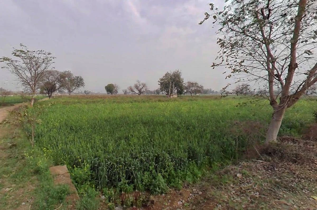 FRHR+PW Seetal, Rajasthan, India