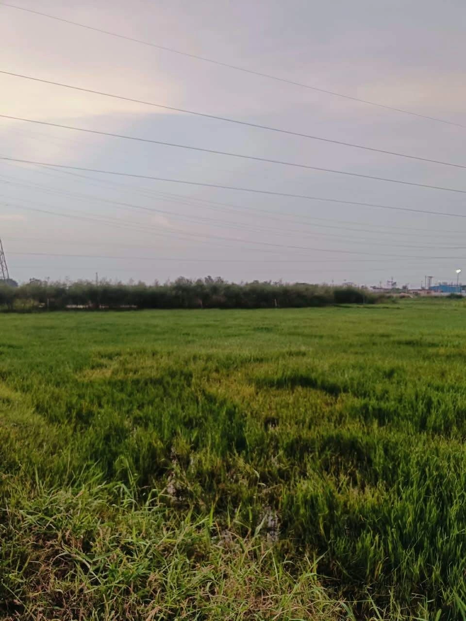 Baraka, Mathura, Uttar Pradesh, India