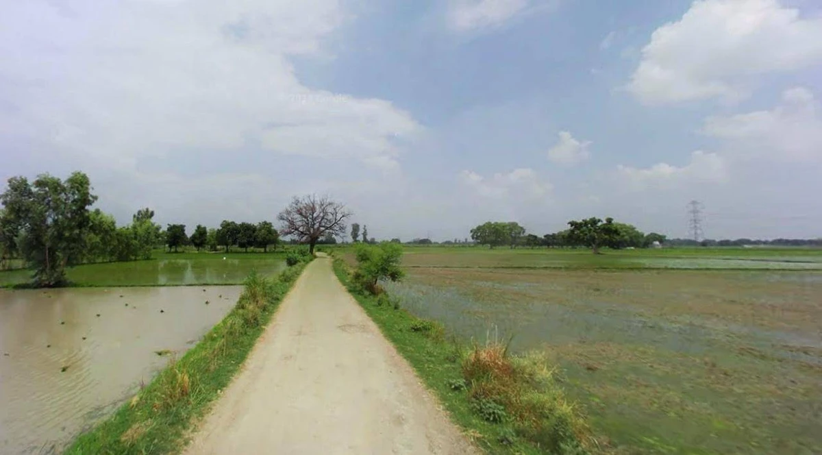 Sonipat, Haryana, India