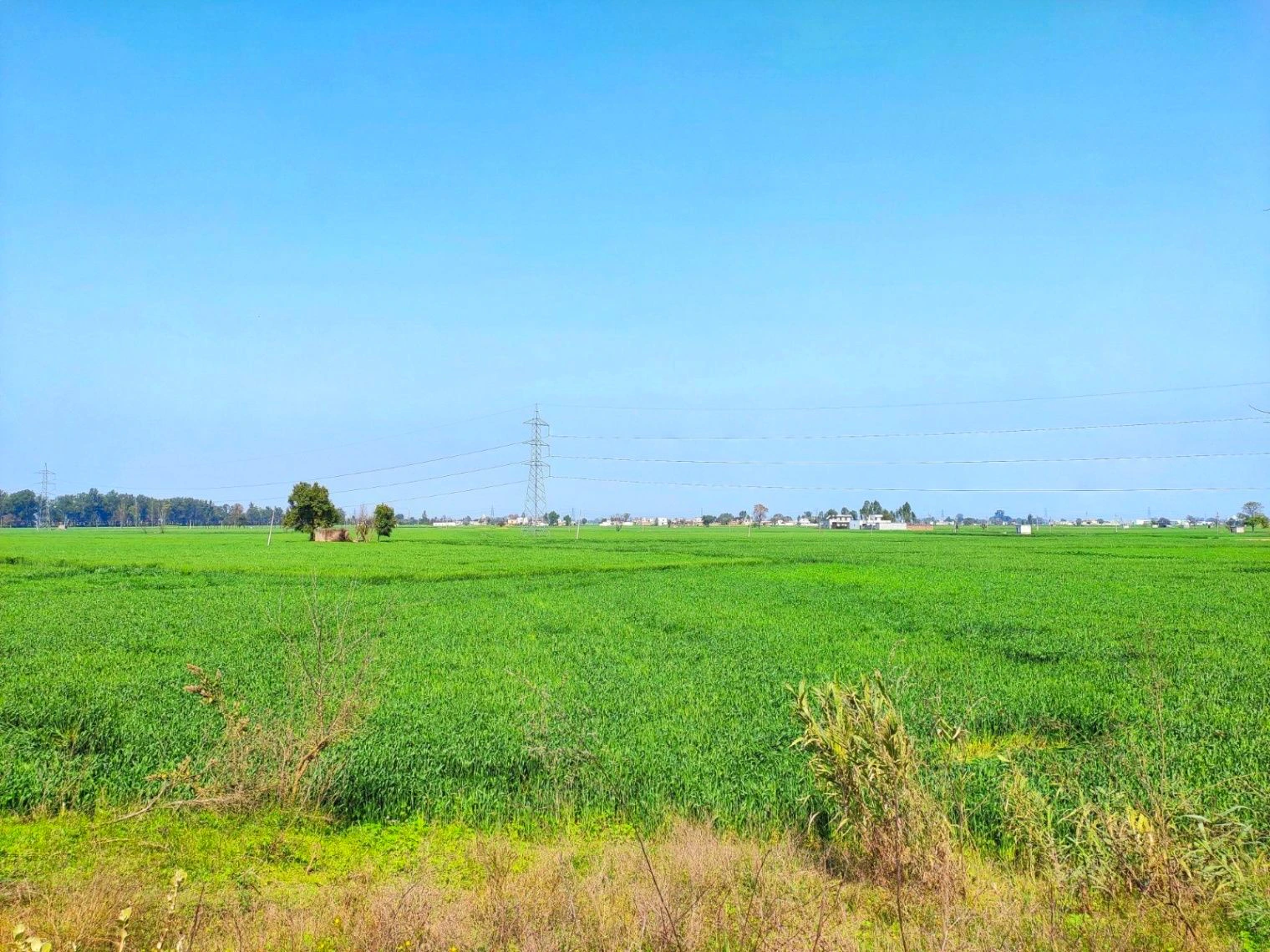 Ladwa, Haryana, India