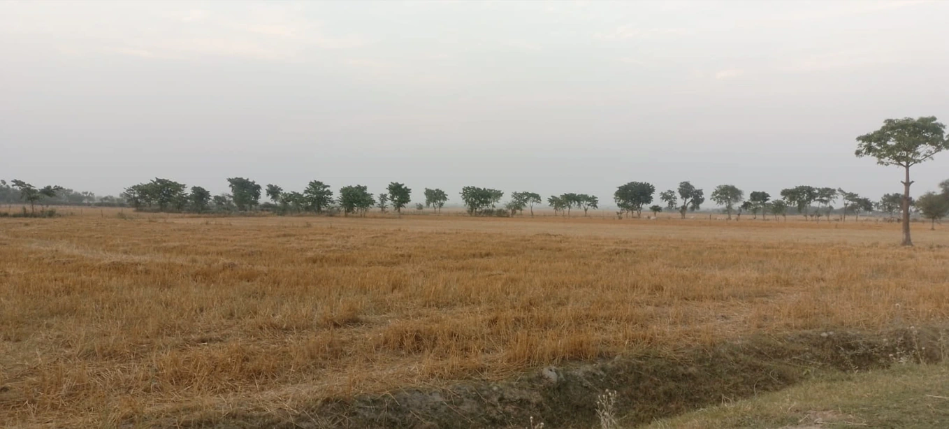 Mant, Uttar Pradesh 281202, India