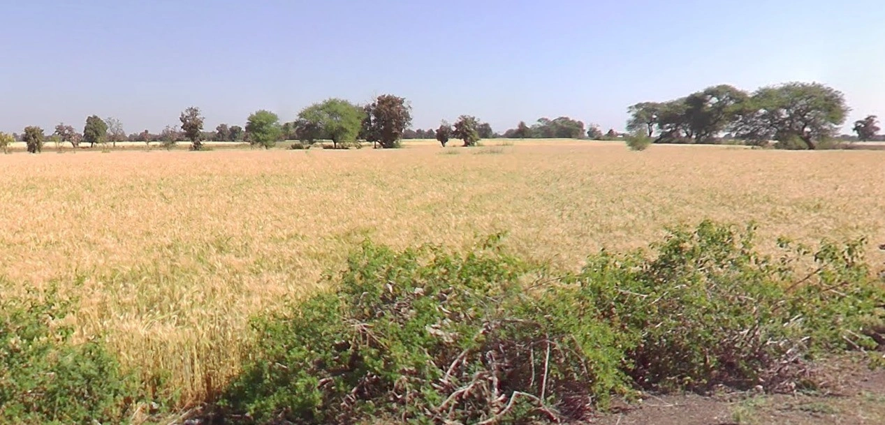 Gondiya, Madhya Pradesh 456006, India