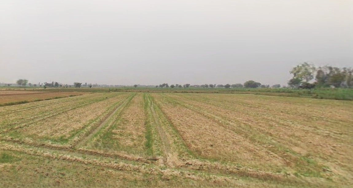 Tanda, Uttar Pradesh 244925, India preview 2