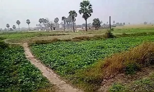 5394+M25, Gangta, Jhakhar, Bihar 811311, India preview 3