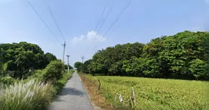 Unnao, Uttar Pradesh, India preview 2