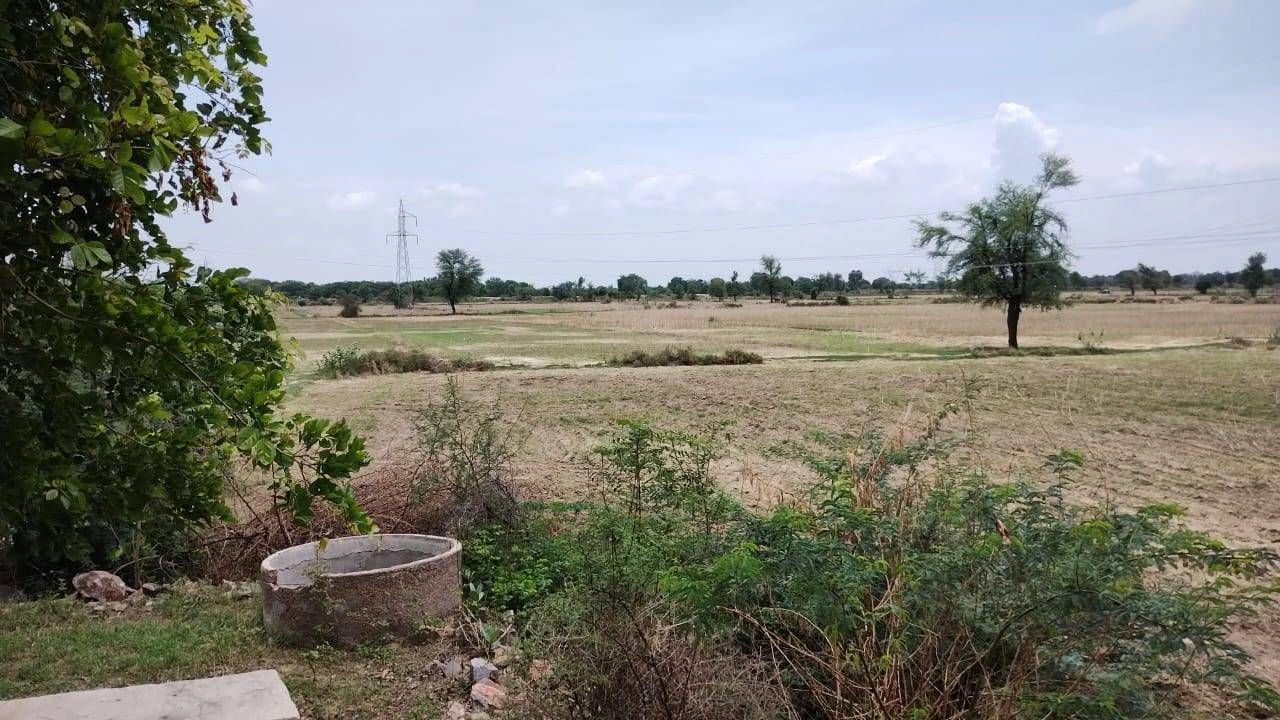 Rajpura, Patiala, Punjab, India