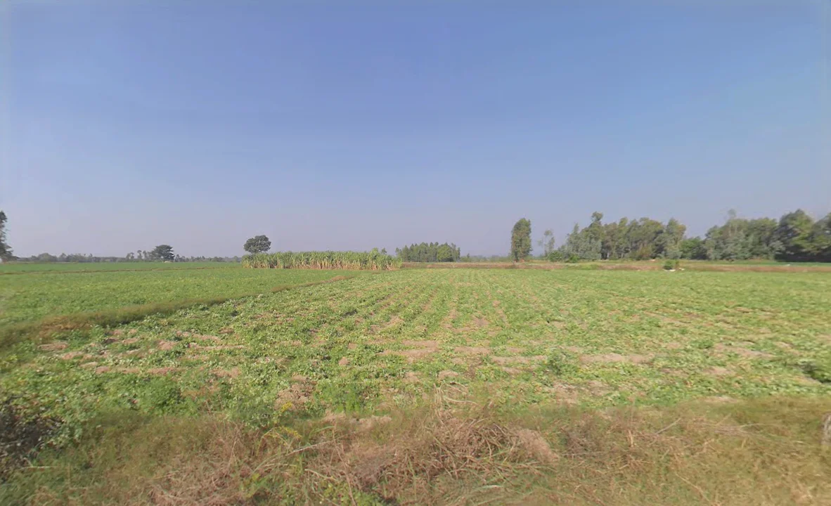 5M5F+M3R, Kalan, Uttar Pradesh 228172, India preview 2