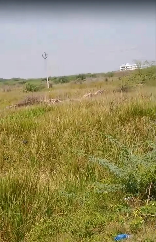 1340/1U, Niwai, Gunsi, Rajasthan 304021, India