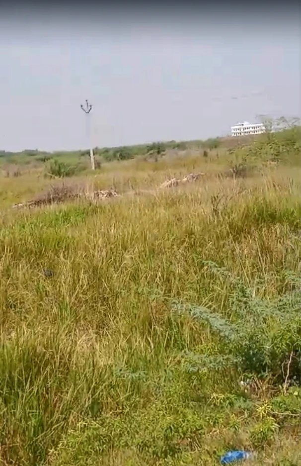 1340/1U, Niwai, Gunsi, Rajasthan 304021, India