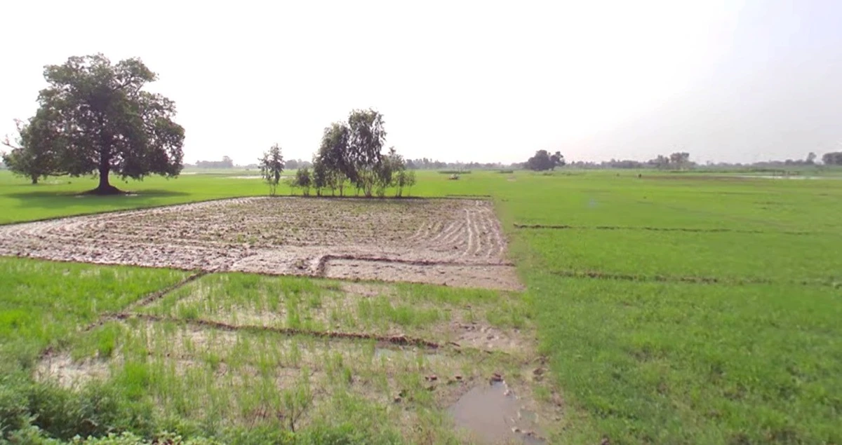 Tilawad Govind, Madhya Pradesh 465110, India