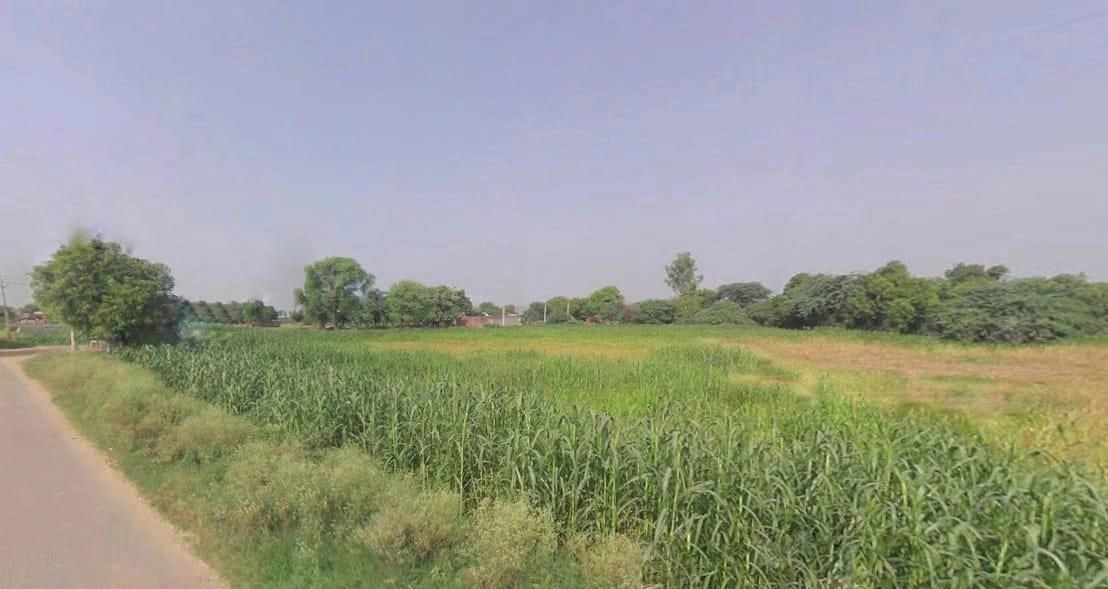 Bilond, Rajasthan 321022, India preview 3