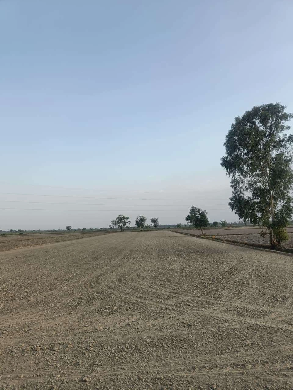 Aou, Rajasthan, India