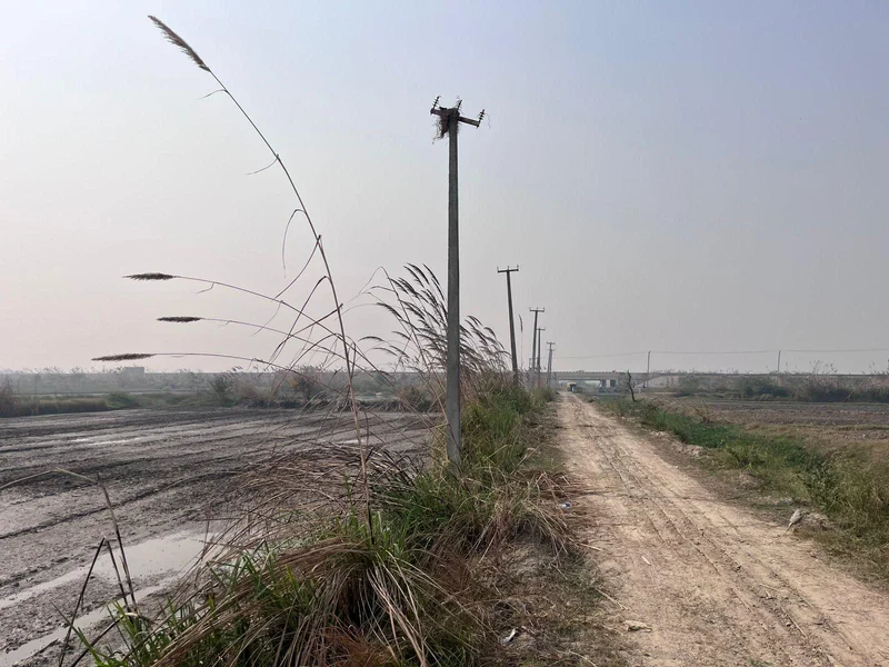 Pondri, Haryana, India preview 3