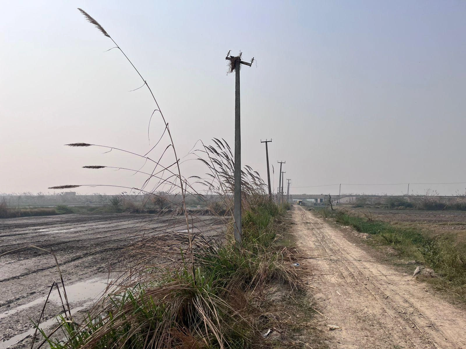 Pondri, Haryana, India