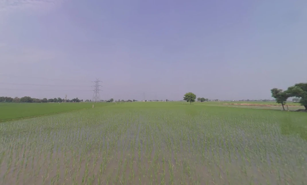 Kailpur, Punjab, India