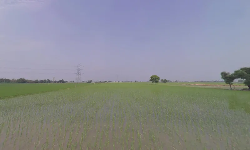 Kailpur, Punjab, India preview 3