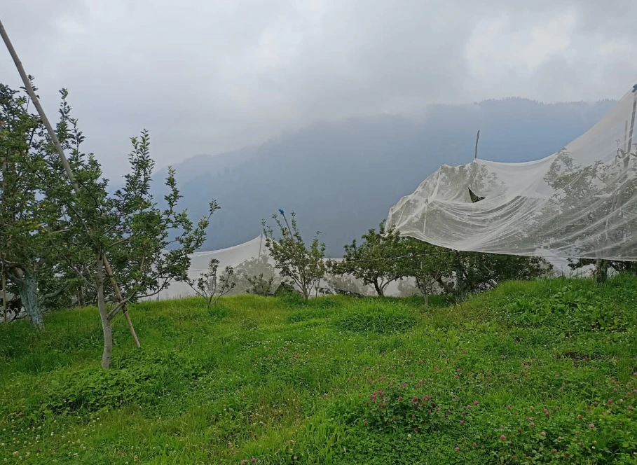 Anni, Kullu, Himachal Pradesh 172026, India