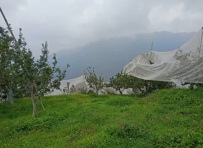 Anni, Kullu, Himachal Pradesh 172026, India preview 3