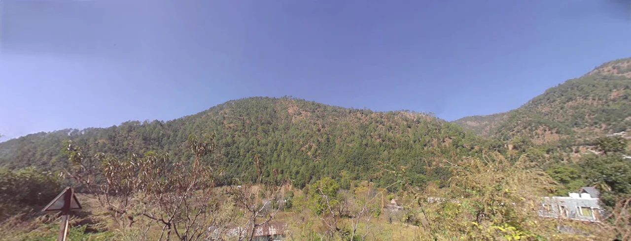 Tani, Uttarakhand 263643, India preview 2