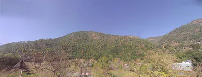 Tani, Uttarakhand 263643, India preview 2