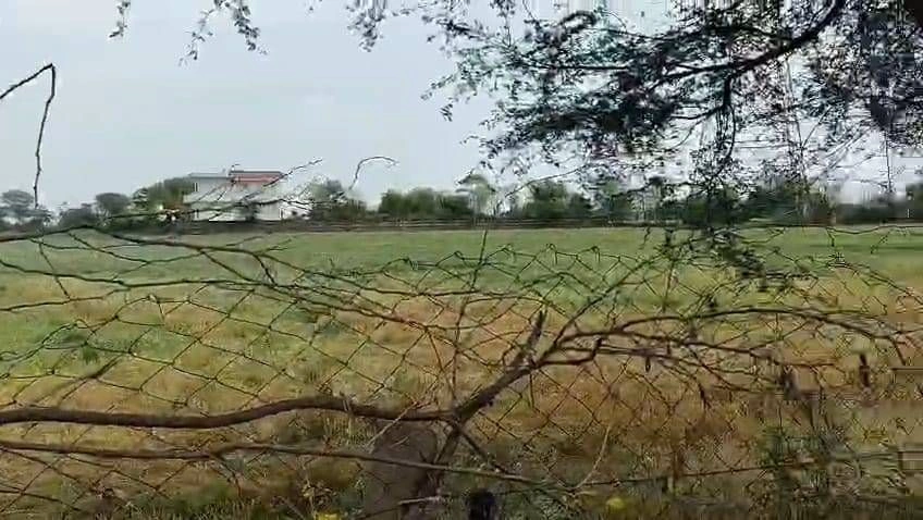 PXQ2+C4H, Dhorala, Rajasthan, India