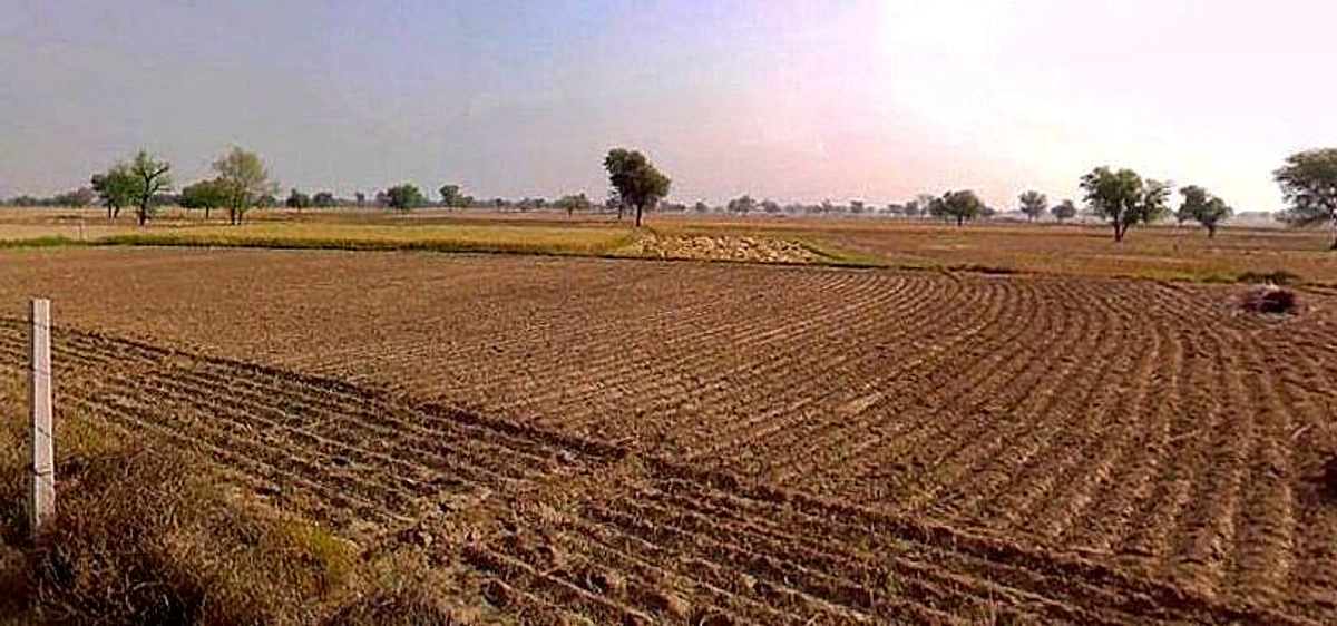 Chandla, Madhya Pradesh 471525, India