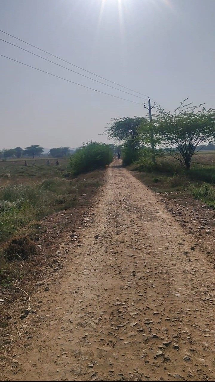 Pinan, Rajasthan, India