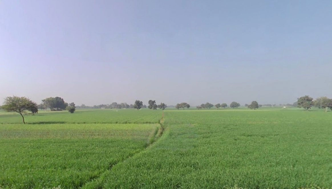 Sinduriya, Madhya Pradesh, India preview 2