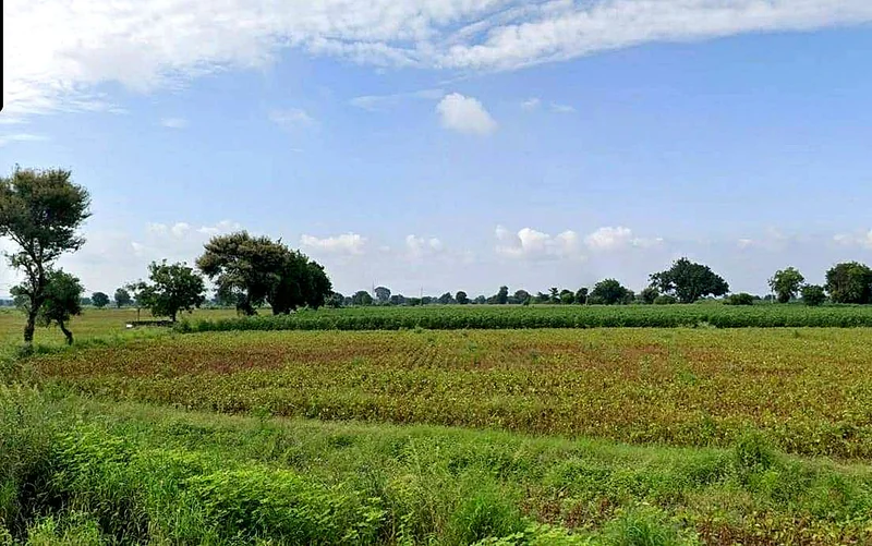 Rajapur, Madhya Pradesh 475661, India preview 3