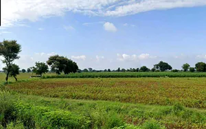 Rajapur, Madhya Pradesh 475661, India preview 3