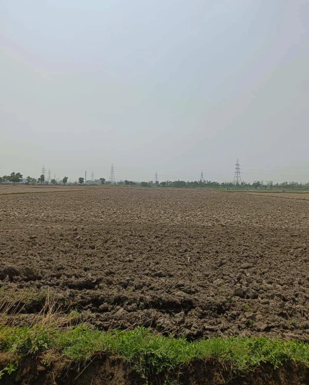 Panhera Khurd, Faridabad, Haryana 121004, India
