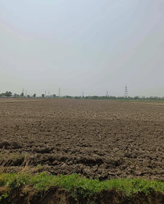 Panhera Khurd, Faridabad, Haryana 121004, India