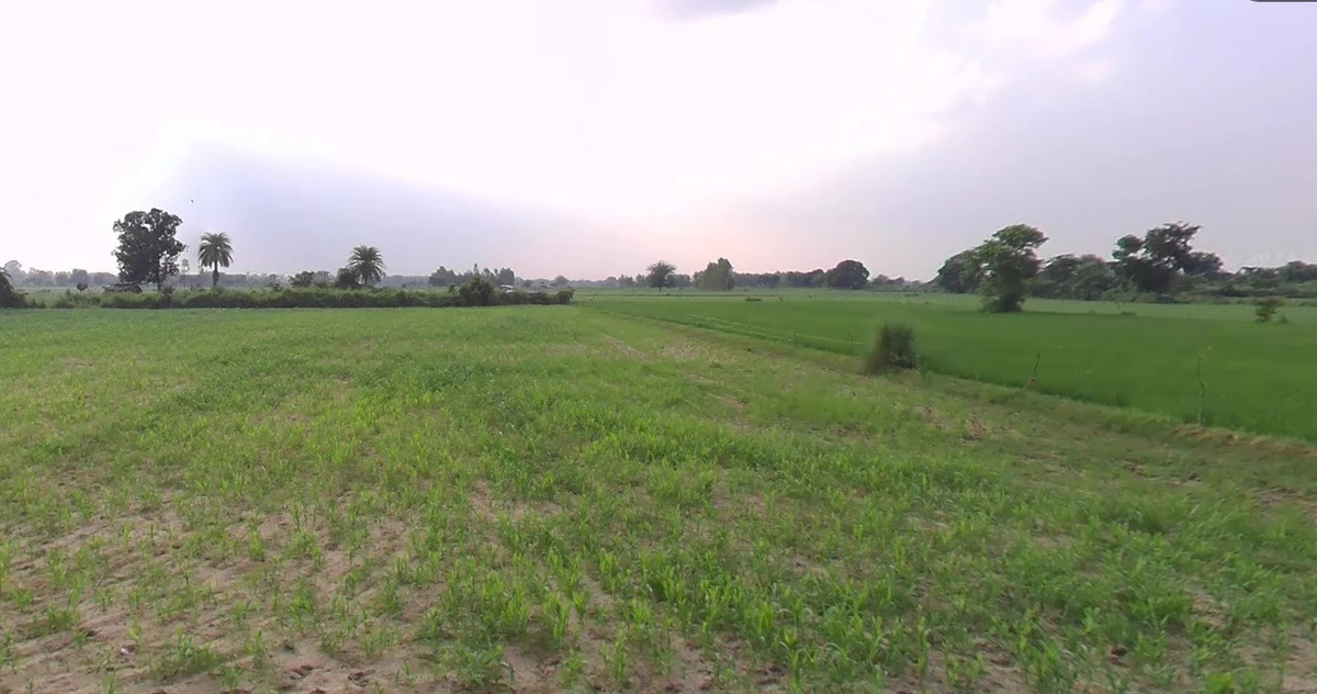 Lasnapur, Maharashtra 444904, India