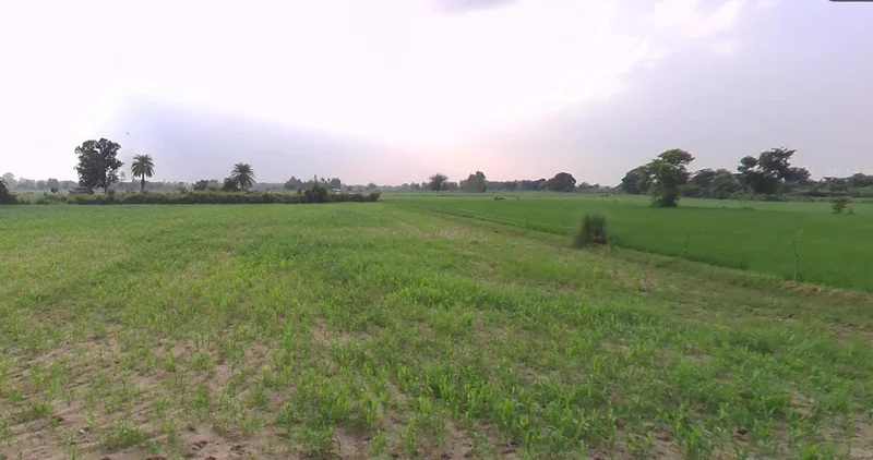 Lasnapur, Maharashtra 444904, India preview 3