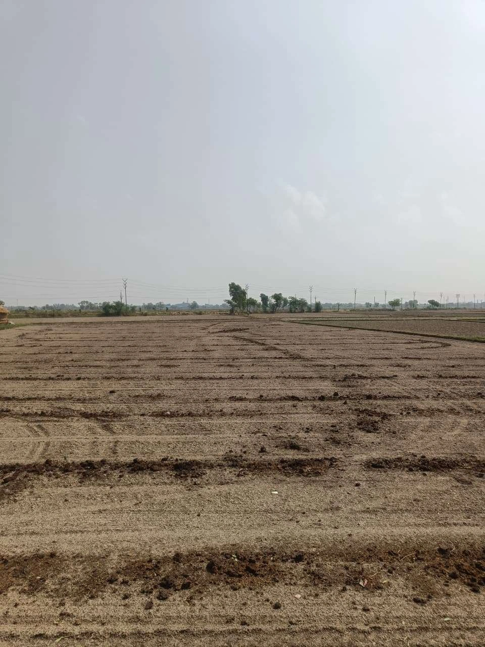 Aou, Rajasthan, India preview 2