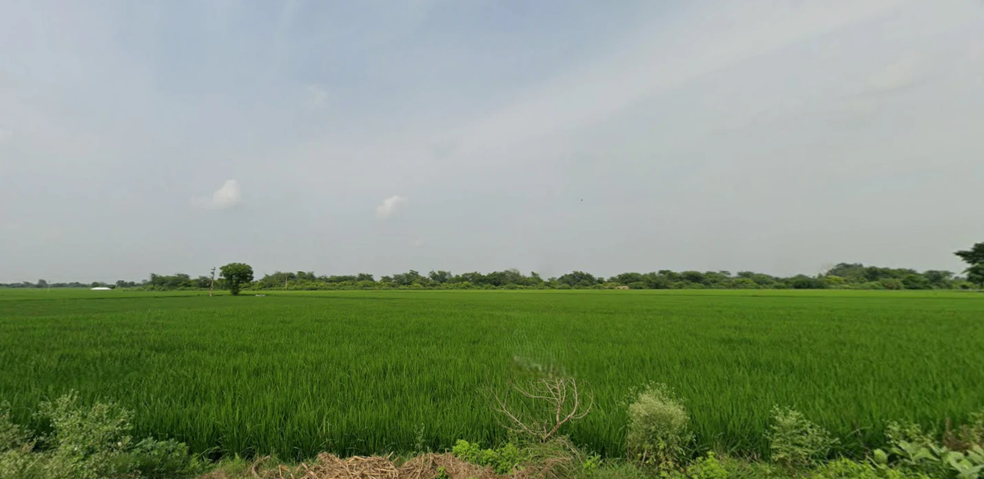Tarapur, Punjab, India