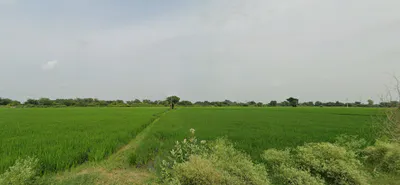 Nurpur Bedi, Punjab 140117, India preview 2