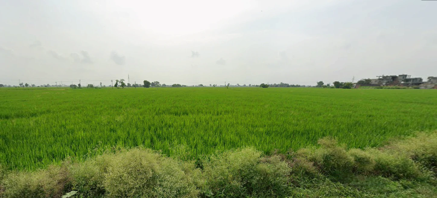 New Chandigarh, Punjab 140901, India