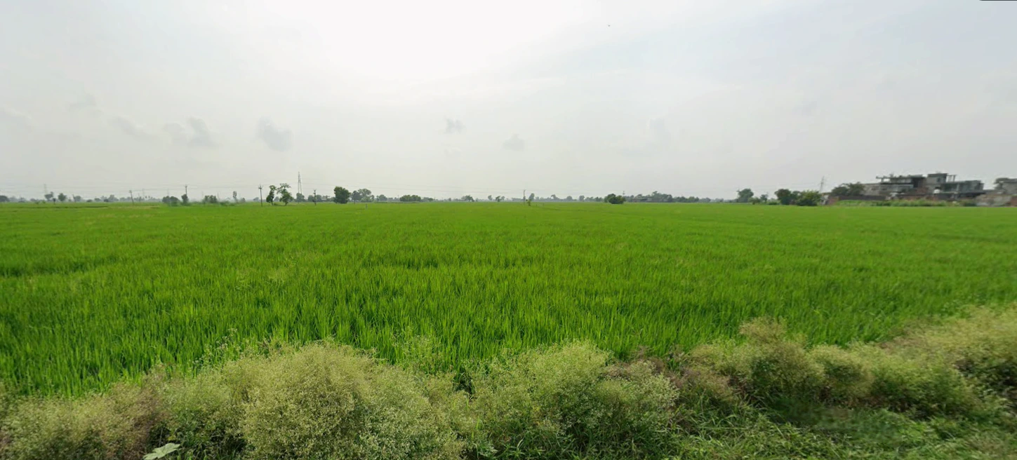 New Chandigarh, Punjab 140901, India