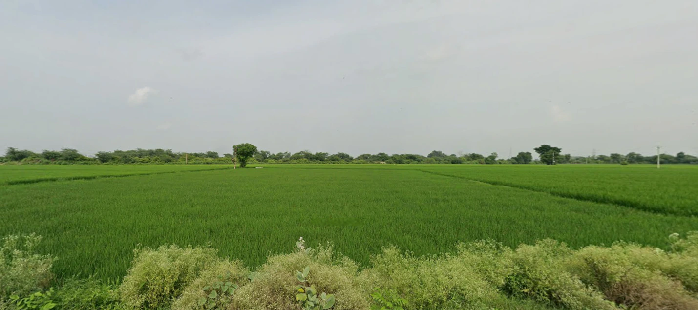 Dhaul, Punjab 144521, India