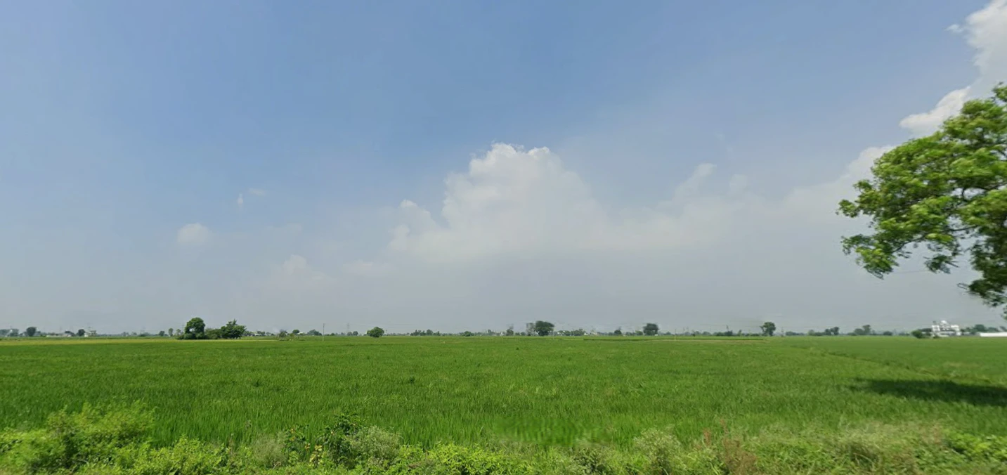 New Chandigarh, Punjab 140901, India