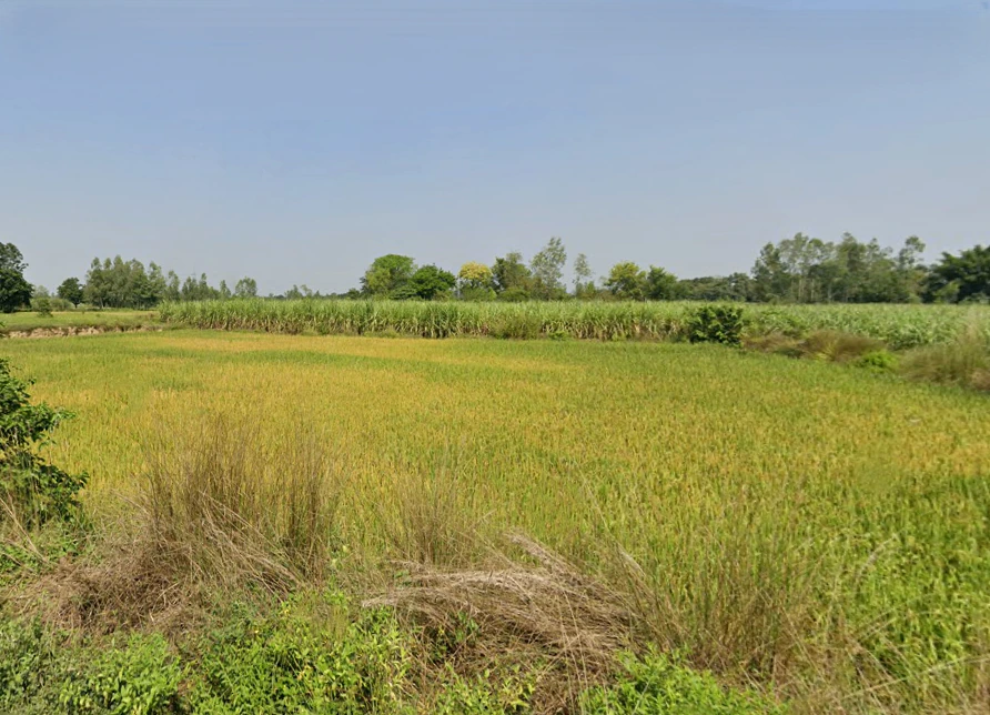 Sohawal, Uttar Pradesh, India