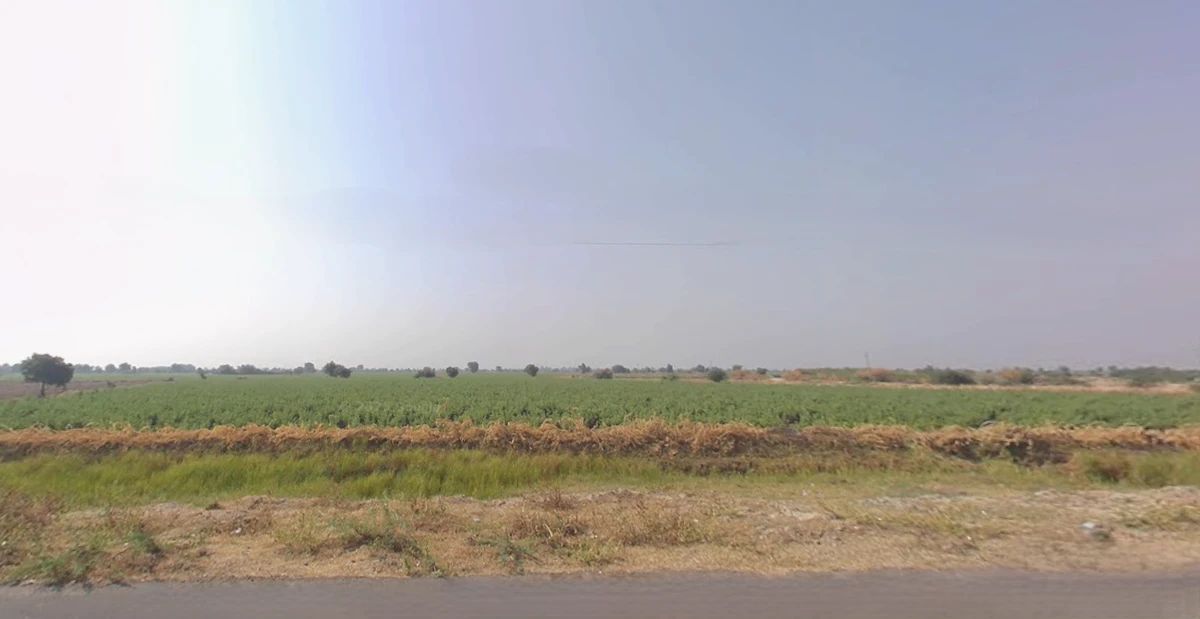 Sokali, Gujarat 382150, India