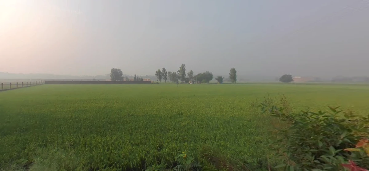 Bhalla Pind, Punjab 143102, India