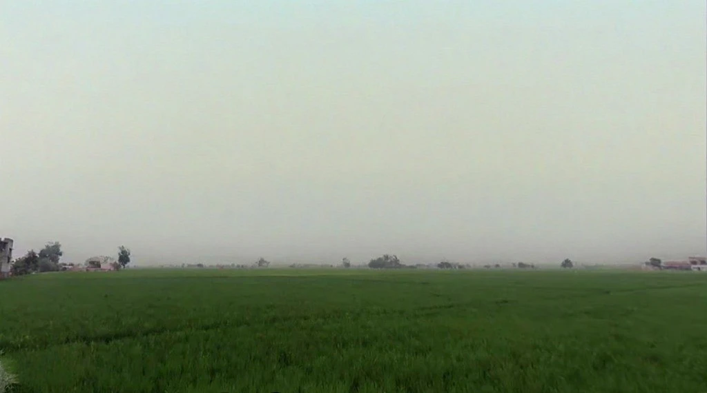 Pharal, Haryana 136021, India